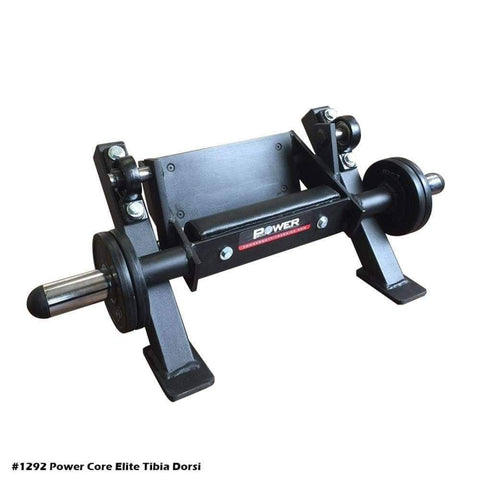 Image of PB 1292 Tibia Dorsi