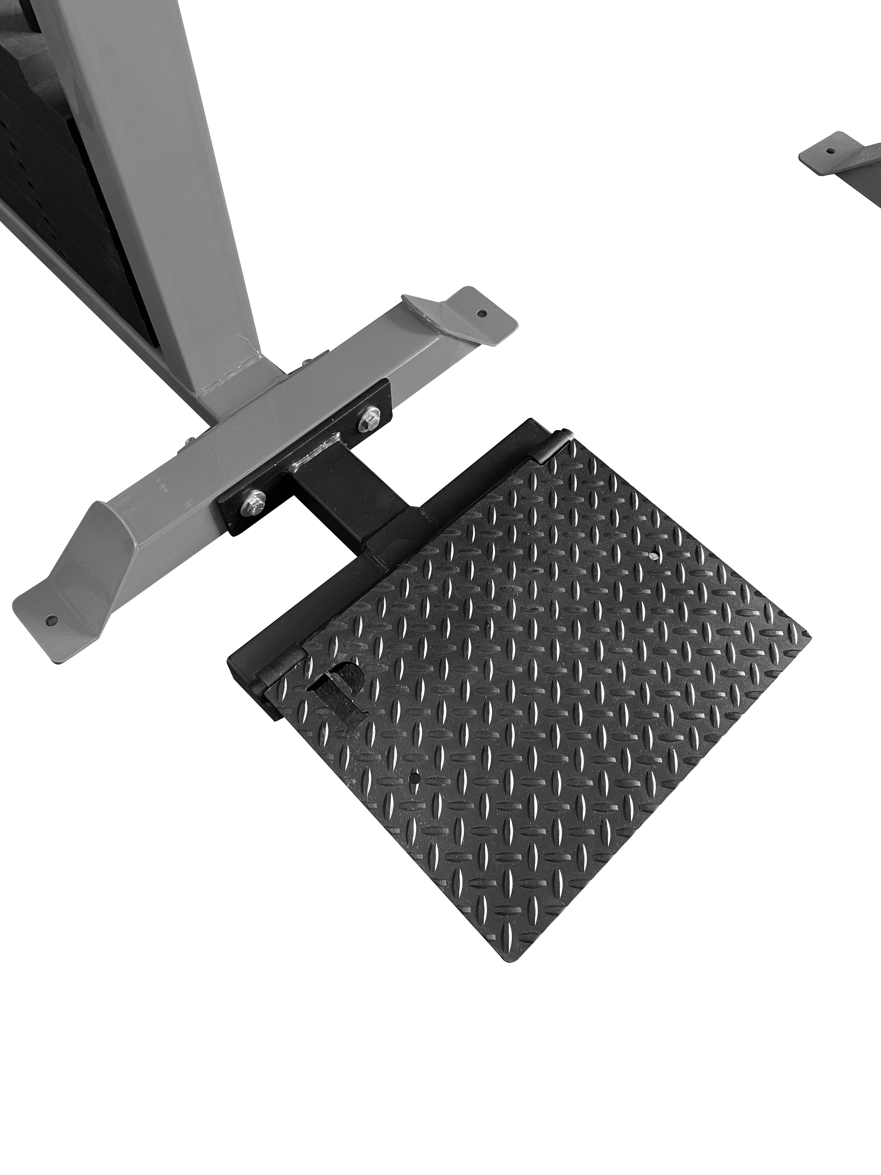 PB 7100 Standing Lateral Raise