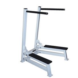 PB 1218 Dip Station With Angle Bars