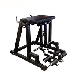 PB 1268 Power Core Elite Reverse Hyper With Dual Pendulum