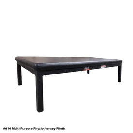 PB 616 Multi-purpose Physiotherapy Plinth